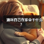 猫咪自己在家会干什么？（图2）