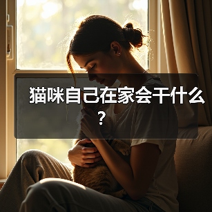 猫咪自己在家会干什么？（图3）