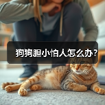 狗狗胆小怕人怎么办?(图2) 狗狗胆小怕人怎么办?(图2)