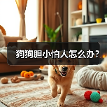 狗狗胆小怕人怎么办?(图3) 狗狗胆小怕人怎么办?(图3)