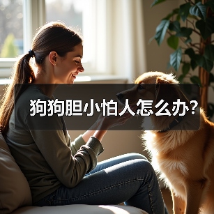 狗狗胆小怕人怎么办?(图1) 狗狗胆小怕人怎么办?(图1)