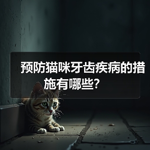 预防猫咪牙齿疾病的措施有哪些？（图3）