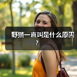 野猫一直叫是什么原因?(图2) 野猫一直叫是什么原因?(图2)