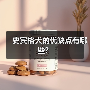 史宾格犬的优缺点有哪些?(图3) 史宾格犬的优缺点有哪些?(图3)
