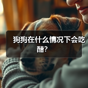 狗狗在什么情况下会吃醋?(图2) 狗狗在什么情况下会吃醋?(图2)