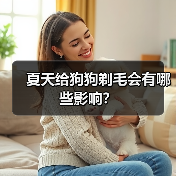 夏天给狗狗剃毛会有哪些影响?(图3) 夏天给狗狗剃毛会有哪些影响?(图3)