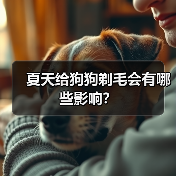夏天给狗狗剃毛会有哪些影响?(图4) 夏天给狗狗剃毛会有哪些影响?(图4)