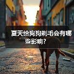 夏天给狗狗剃毛会有哪些影响?(图1) 夏天给狗狗剃毛会有哪些影响?(图1)
