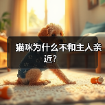 猫咪为什么不和主人亲近？（图3）