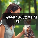狗狗毛囊炎是怎么引起的?(图4) 狗狗毛囊炎是怎么引起的?(图4)
