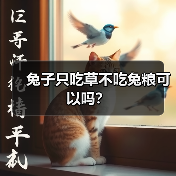 兔子只吃草不吃兔粮可以吗？（图1）