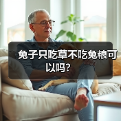 兔子只吃草不吃兔粮可以吗？（图2）