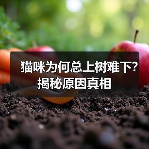 猫咪为何总上树难下?揭秘原因真相(图2) 猫咪为何总上树难下?揭秘原因真相(图2)