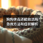 狗狗休克还能救活吗?急救方法和症状解析(图2) 狗狗休克还能救活吗?急救方法和症状解析(图2)