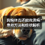 狗狗休克还能救活吗?急救方法和症状解析(图4) 狗狗休克还能救活吗?急救方法和症状解析(图4)