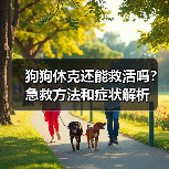 狗狗休克还能救活吗?急救方法和症状解析(图3) 狗狗休克还能救活吗?急救方法和症状解析(图3)