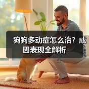 狗狗多动症怎么治?成因表现全解析(图1) 狗狗多动症怎么治?成因表现全解析(图1)