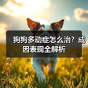 狗狗多动症怎么治?成因表现全解析(图4) 狗狗多动症怎么治?成因表现全解析(图4)