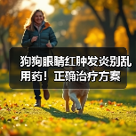 狗狗眼睛红肿发炎别乱用药！正确治疗方案（图3）