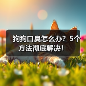 狗狗口臭怎么办?5个方法彻底解决!(图3) 狗狗口臭怎么办?5个方法彻底解决!(图3)
