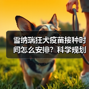 雪纳瑞狂犬疫苗接种时间怎么安排?科学规划保障健康(图3) 雪纳瑞狂犬疫苗接种时间怎么安排?科学规划保障健康(图3)