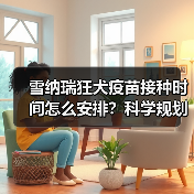 雪纳瑞狂犬疫苗接种时间怎么安排?科学规划保障健康(图4) 雪纳瑞狂犬疫苗接种时间怎么安排?科学规划保障健康(图4)