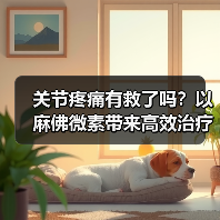 关节疼痛有救了吗？以麻佛微素带来高效治疗方案（图1）