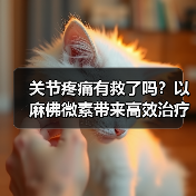 关节疼痛有救了吗？以麻佛微素带来高效治疗方案（图2）