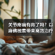 关节疼痛有救了吗？以麻佛微素带来高效治疗方案（图4）