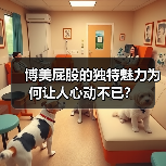 博美屁股的独特魅力为何让人心动不已？（图4）