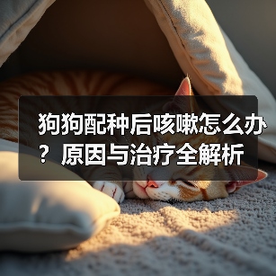 狗狗配种后咳嗽怎么办?原因与治疗全解析(图4) 狗狗配种后咳嗽怎么办?原因与治疗全解析(图4)