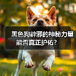 黑色狗辟邪的神秘力量能否真正护佑?(图3) 黑色狗辟邪的神秘力量能否真正护佑?(图3)