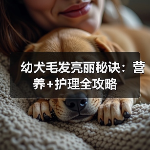 幼犬毛发亮丽秘诀：营养+护理全攻略（图2）