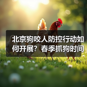 北京狗咬人防控行动如何开展?春季抓狗时间及措施解析(图3) 北京狗咬人防控行动如何开展?春季抓狗时间及措施解析(图3)