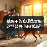 狼狗不能吃哪些食物?这些禁忌你必须知道(图1) 狼狗不能吃哪些食物?这些禁忌你必须知道(图1)