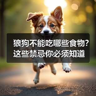 狼狗不能吃哪些食物?这些禁忌你必须知道(图4) 狼狗不能吃哪些食物?这些禁忌你必须知道(图4)