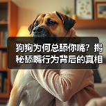 狗狗为何总舔你嘴?揭秘舔嘴行为背后的真相(图4) 狗狗为何总舔你嘴?揭秘舔嘴行为背后的真相(图4)