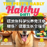 银龙鱼科学饲养需注意哪些?健康生长全指南(图4) 银龙鱼科学饲养需注意哪些?健康生长全指南(图4)