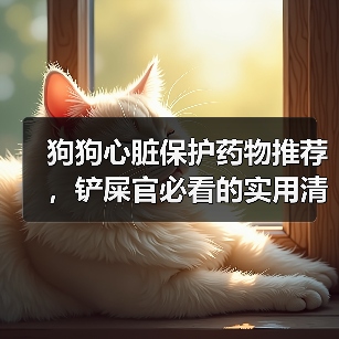 狗狗心脏保护药物推荐，铲屎官必看的实用清单（图1）