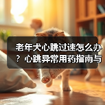 老年犬心跳过速怎么办?心跳异常用药指南与心脏健康养护(图1) 老年犬心跳过速怎么办?心跳异常用药指南与心脏健康养护(图1)