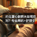 约克夏心脏肥大如何应对?专业用药+护理全解析(图2) 约克夏心脏肥大如何应对?专业用药+护理全解析(图2)