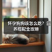 怀孕狗狗该怎么吃？营养搭配全攻略（图3）