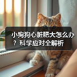 小狗狗心脏肥大怎么办？科学应对全解析（图4）