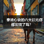 泰迪心衰的六大征兆你都发现了吗?(图3) 泰迪心衰的六大征兆你都发现了吗?(图3)