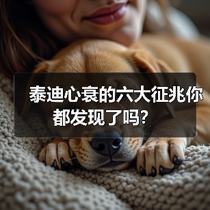 泰迪心衰的六大征兆你都发现了吗?(图4) 泰迪心衰的六大征兆你都发现了吗?(图4)