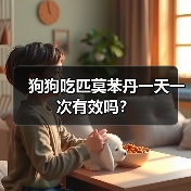 狗狗吃匹莫苯丹一天一次有效吗？（图4）