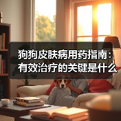 狗狗皮肤病用药指南:有效治疗的关键是什么?(图3) 狗狗皮肤病用药指南:有效治疗的关键是什么?(图3)