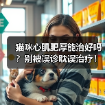 猫咪心肌肥厚能治好吗?别被误诊耽误治疗!(图1) 猫咪心肌肥厚能治好吗?别被误诊耽误治疗!(图1)