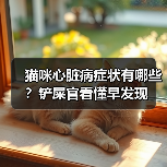 猫咪心脏病症状有哪些?铲屎官看懂早发现(图1) 猫咪心脏病症状有哪些?铲屎官看懂早发现(图1)