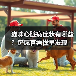 猫咪心脏病症状有哪些?铲屎官看懂早发现(图4) 猫咪心脏病症状有哪些?铲屎官看懂早发现(图4)